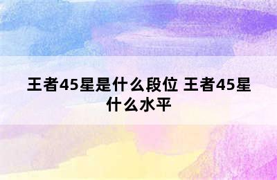 王者45星是什么段位 王者45星什么水平